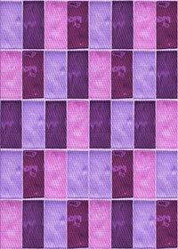 Machine Washable Transitional Dark Magenta Purple Rug, wshpat3760pur