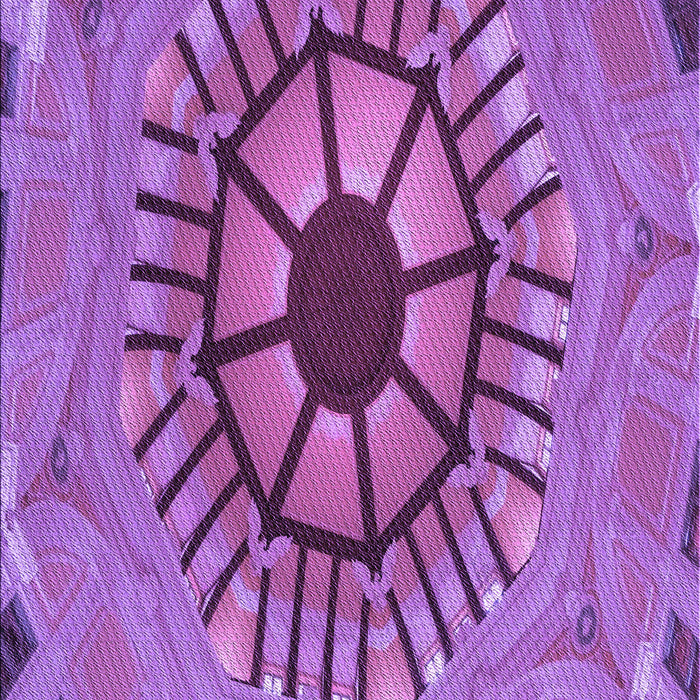 Machine Washable Transitional Purple Rug, wshpat3761pur