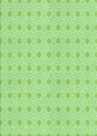 Machine Washable Transitional Green Rug, wshpat3763grn