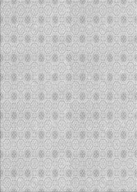 Machine Washable Transitional Platinum Gray Rug, wshpat3763gry