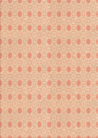 Machine Washable Transitional Orange Rug, wshpat3763org