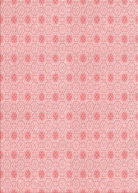 Machine Washable Transitional Pink Rug, wshpat3763rd