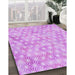 Machine Washable Transitional Blossom Pink Rug in a Family Room, wshpat3764pur