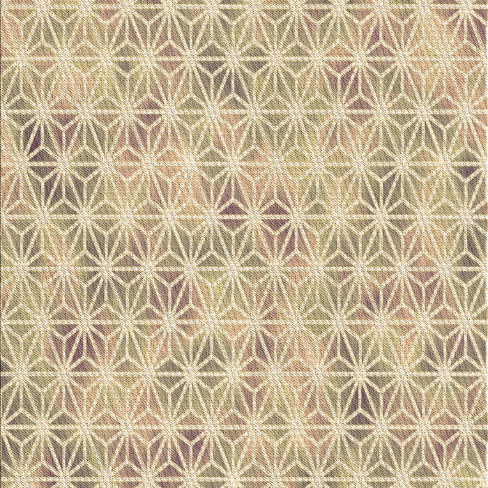 Machine Washable Transitional Khaki Gold Rug, wshpat3765brn