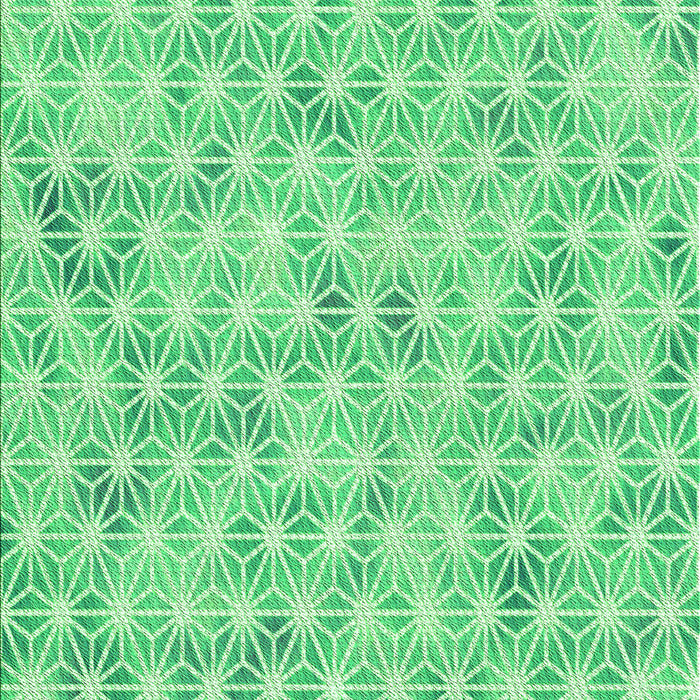 Machine Washable Transitional Green Rug, wshpat3765grn