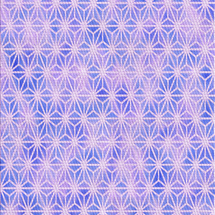 Machine Washable Transitional Purple Rug, wshpat3765pur