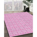 Machine Washable Transitional Blossom Pink Rug in a Family Room, wshpat3767pur