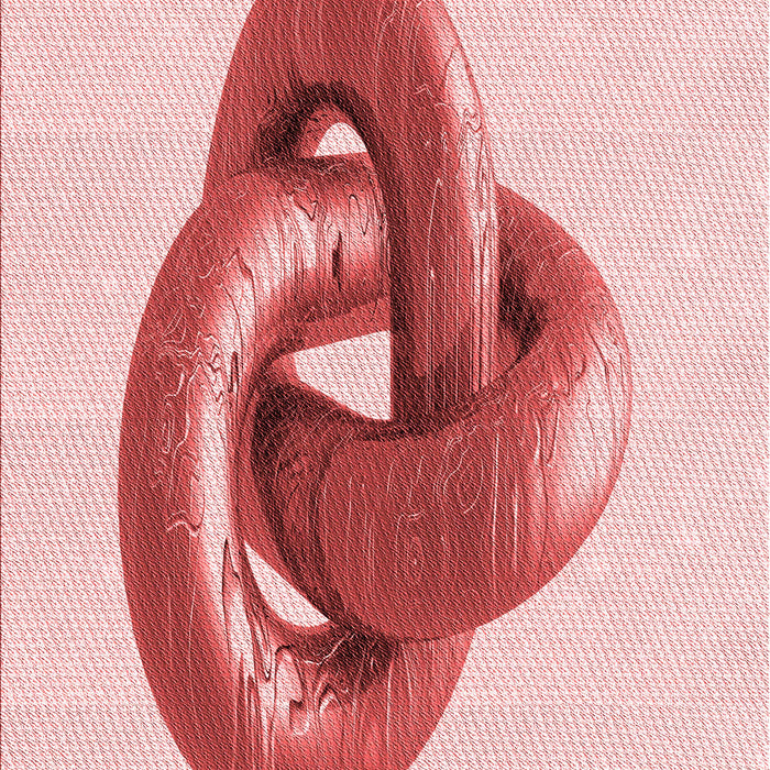 Patterned Red Rug, pat3769rd