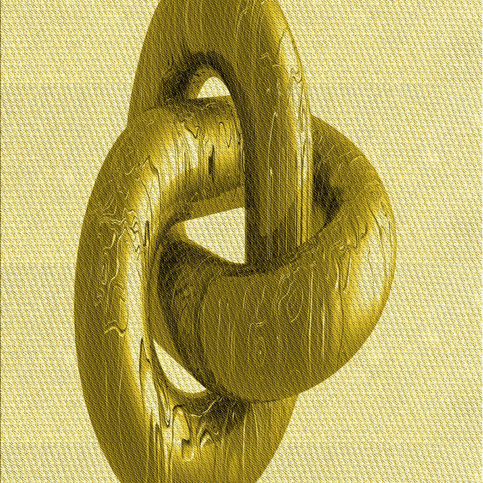 Machine Washable Transitional Dark Golden Brown Rug, wshpat3769yw