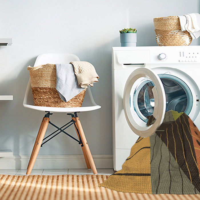 Machine Washable Transitional Cinnamon Brown Rug in a Washing Machine, wshpat377brn
