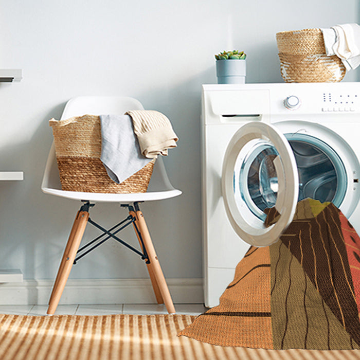 Machine Washable Transitional Sedona Brown Rug in a Washing Machine, wshpat377org