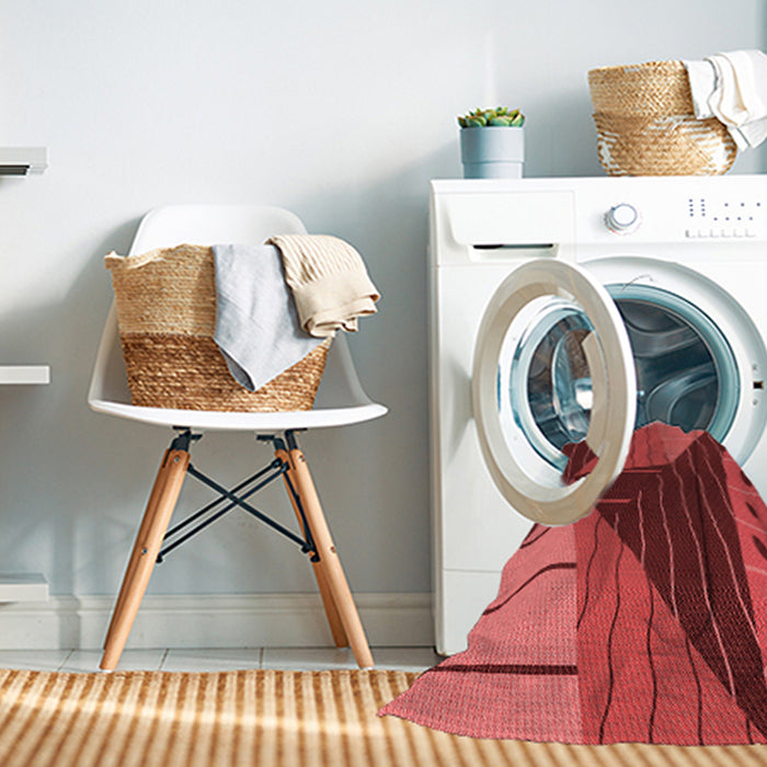 Machine Washable Transitional Red Rug in a Washing Machine, wshpat377rd