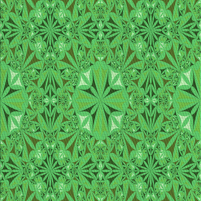 Machine Washable Transitional Neon Green Rug, wshpat3774grn