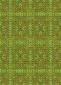 Machine Washable Transitional Pistachio Green Rug, wshpat3776grn