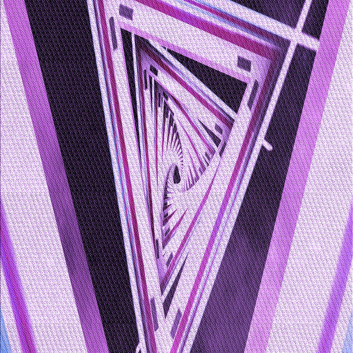 Machine Washable Transitional Bright Purple Rug, wshpat3778pur