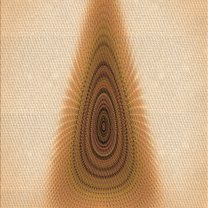 Machine Washable Transitional Orange Rug, wshpat3779org