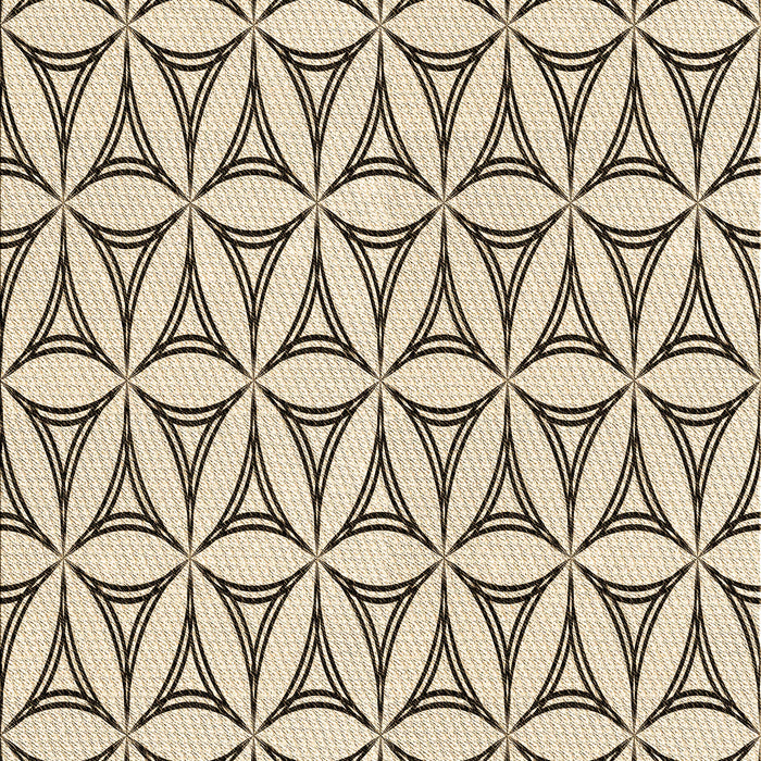 Machine Washable Transitional Wheat Beige Rug, wshpat3781brn