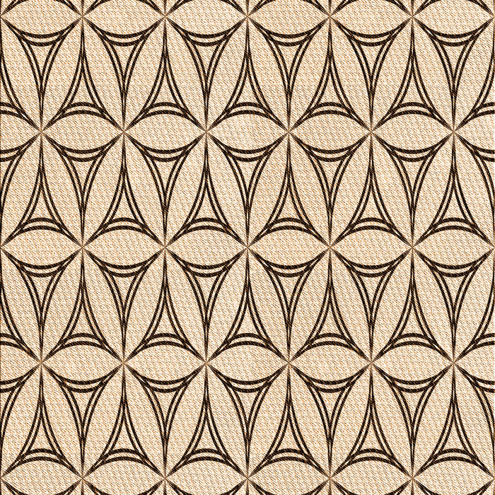 Machine Washable Transitional Sienna Brown Rug, wshpat3781org