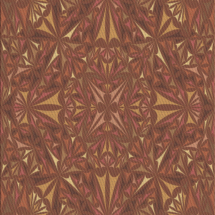 Machine Washable Transitional Fire Brick Red Rug, wshpat3794brn