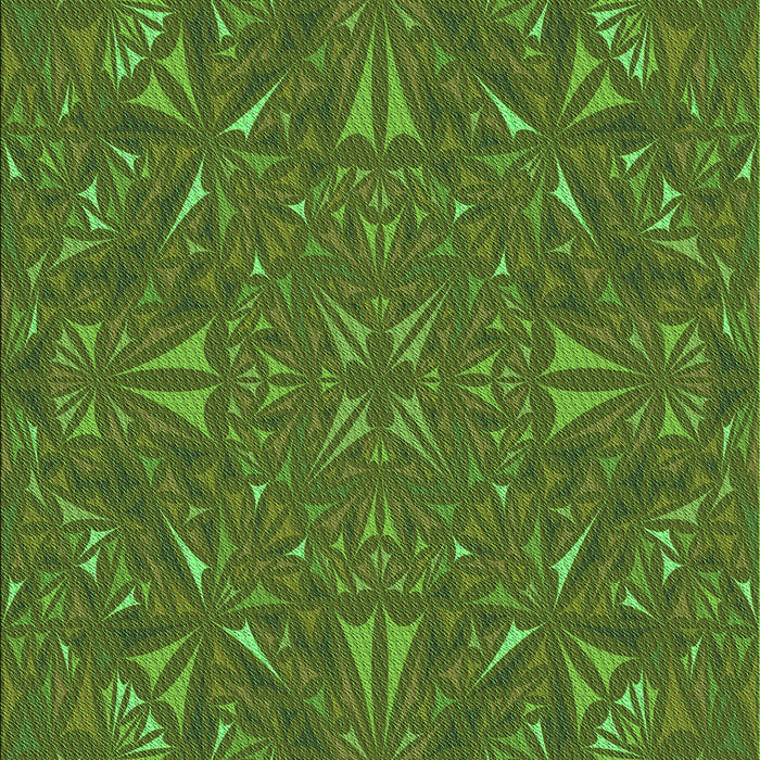 Machine Washable Transitional Seaweed Green Rug, wshpat3794grn