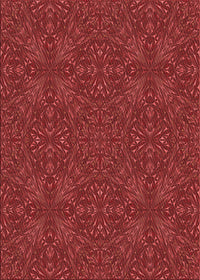 Machine Washable Transitional Red Rug, wshpat3795rd