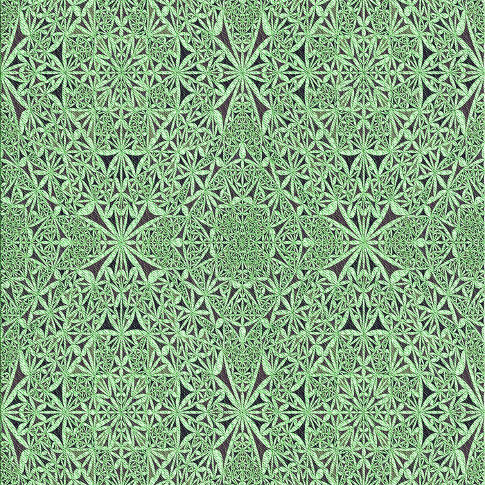 Machine Washable Transitional Light Green Rug, wshpat3796grn