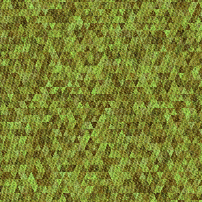 Machine Washable Transitional Pistachio Green Rug, wshpat3802grn