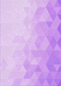 Machine Washable Transitional Purple Rug, wshpat3805pur