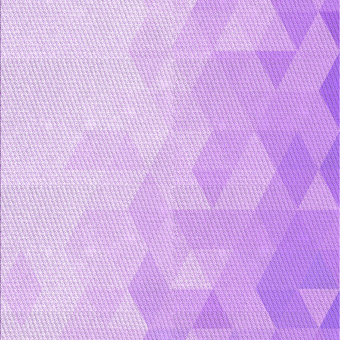 Machine Washable Transitional Purple Rug, wshpat3805pur