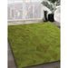 Patterned Pistachio Green Rug in Family Room, pat3806grn