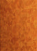 Patterned Neon Orange Rug, pat3806yw