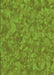 Machine Washable Transitional Green Rug, wshpat3807grn