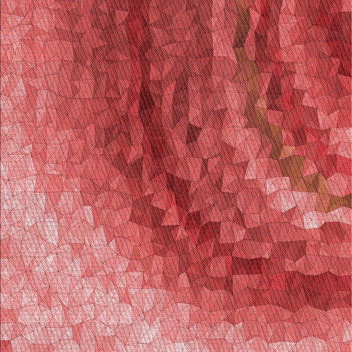 Patterned Red Rug, pat3808rd