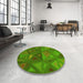 Round Patterned Apple Green Rug in a Office, pat3809yw