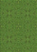 Patterned Seaweed Green Rug, pat3814grn