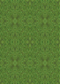 Machine Washable Transitional Seaweed Green Rug, wshpat3814grn