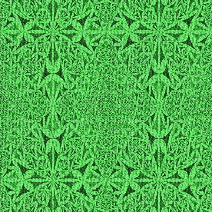 Machine Washable Transitional Lime Green Rug, wshpat3815grn