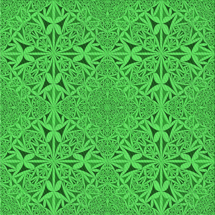 Round Machine Washable Transitional Lime Green Rug, wshpat3815grn