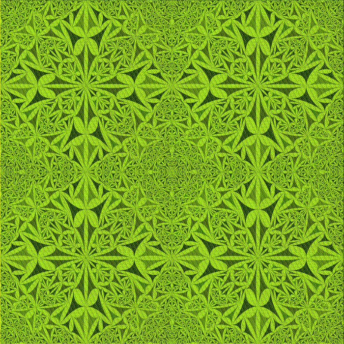 Round Machine Washable Transitional Dark Lime Green Rug, wshpat3815yw