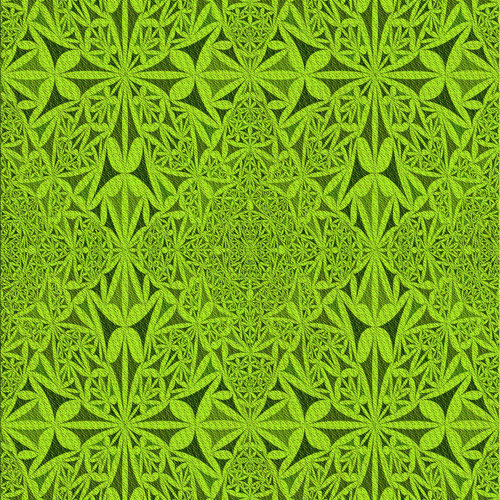 Machine Washable Transitional Dark Lime Green Rug, wshpat3815yw