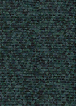 Patterned Black Novelty Rug, pat3817