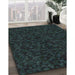 Patterned Black Novelty Rug in Family Room, pat3817