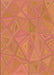 Patterned Orange Rug, pat3819org