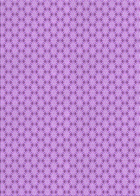 Machine Washable Transitional Violet Purple Rug, wshpat382pur