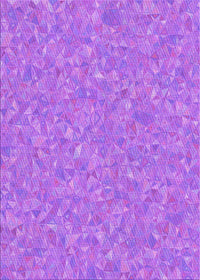 Machine Washable Transitional Purple Rug, wshpat3820pur