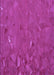 Machine Washable Transitional Fuchsia Magenta Purple Rug, wshpat3823pur