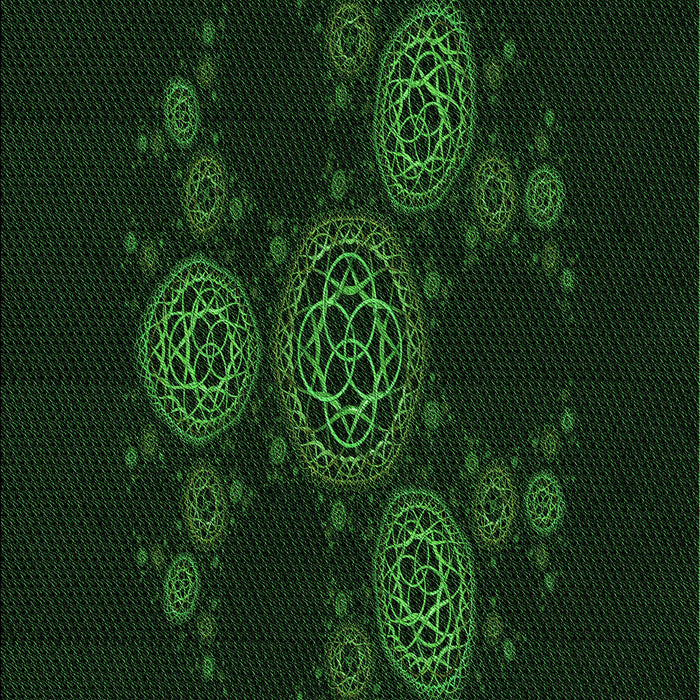 Machine Washable Transitional Deep Emerald Green Rug, wshpat383grn