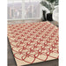 Patterned Bright Orange Rug in Family Room, pat3834org