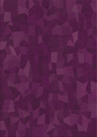 Machine Washable Transitional Dark Raspberry Purple Rug, wshpat3836brn
