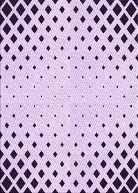 Machine Washable Transitional Lilac Purple Rug, wshpat3837pur